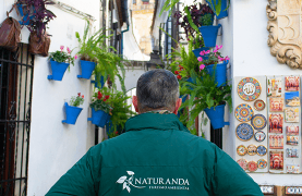 Cordoba and the Mosque-Cathedral Day Trip from Seville