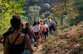 From Seville: Cerro del Hierro private hiking with pic-nic